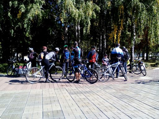 Наша команда