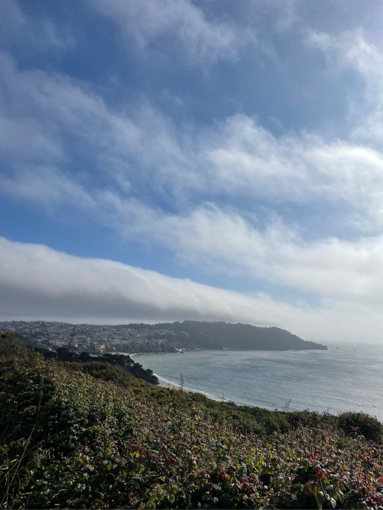 Butterlap (Presidio & Golden Gate Park)的照片 153