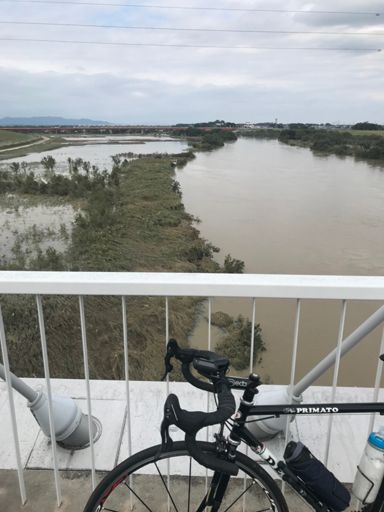 新三国橋から渡良瀬川の状況を…📸😓