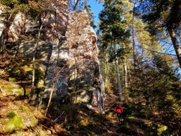 Sortie TRA au Mont Ste Odile