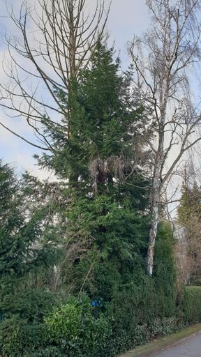 Koenigstein im Taunus_ID10264_KM_Am Lindenbaum 8