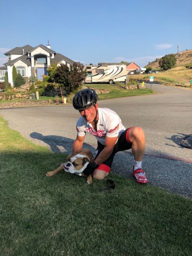 The owner told me how vicious this dog was as it rolled over on it back and begged for a belly rub.