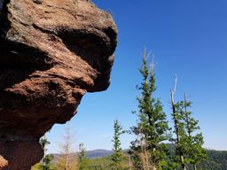 Tête de la gorge aux sangliers et Canceley
