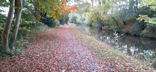 Monmouthshire and Brecon canal 😉👍