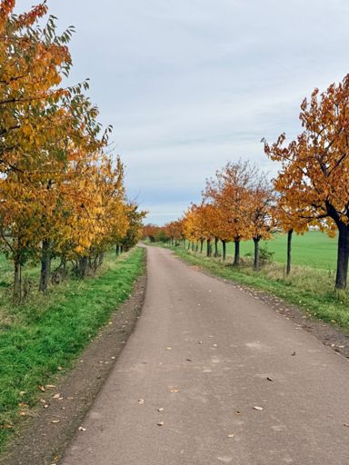 das bessere Novemberwetter