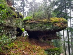 Bonne année ???? Happy new year !