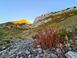 Non tour des Morteys