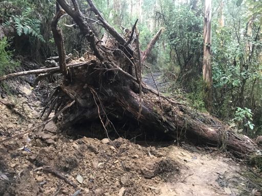 Bit of rain last night! Trail 2 needs some maintenance. Lol!