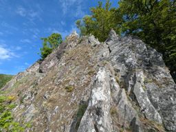 Crapahutage matinal dans les hautes vosges