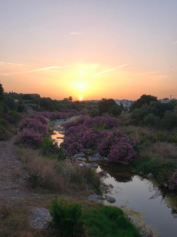 Amanecer en Santa Bárbara