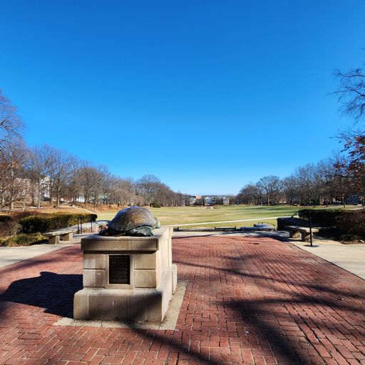 Testudo's view of the McKeldin Mall, Univ. of MD College Park