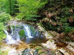 Promenade à Allerheiligen
