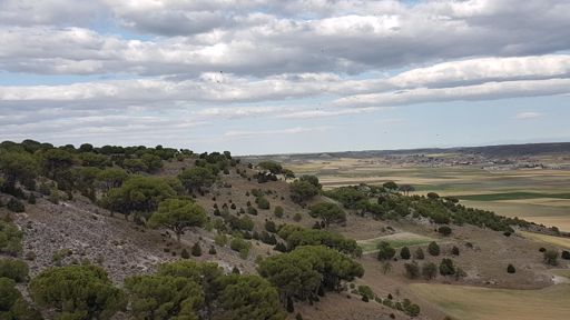 En busca de los buitres...y vaya si les encontré, q susto!!! Han salido por lo menos 20 de unos árboles!!!