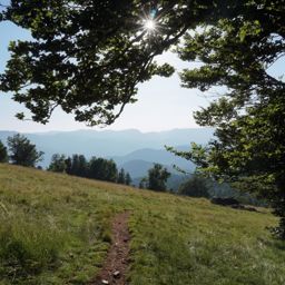 Entre le col d’Amic et le Vieil Armand