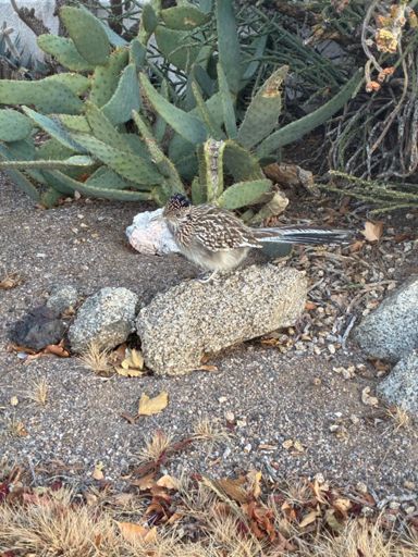 7:34 and out; we got lucky