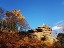 Trail commémoratif ...