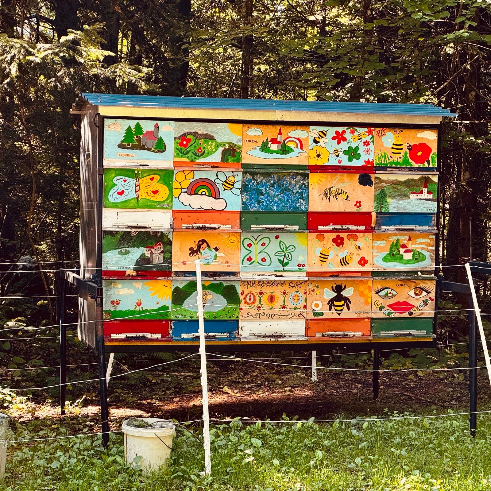 Ride Image 3