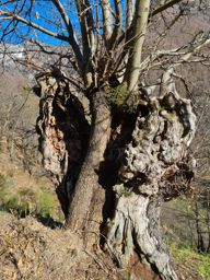 Maggia à Madom da Sgióf