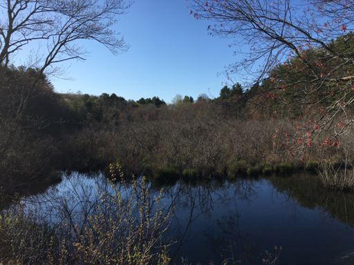 Chatfield Hollow Brook