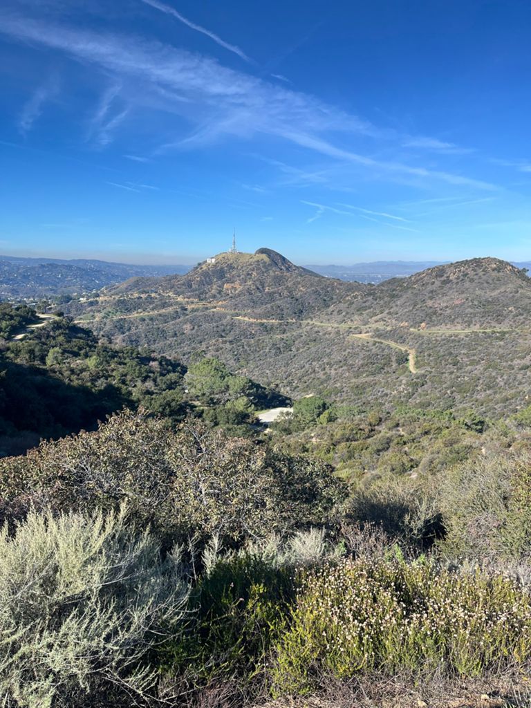 NBB run - Lake Hollywood photo 119