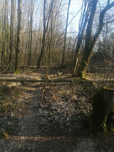 Rumpelstielzchentrail ist komplettzu 🤷‍♂️🙈