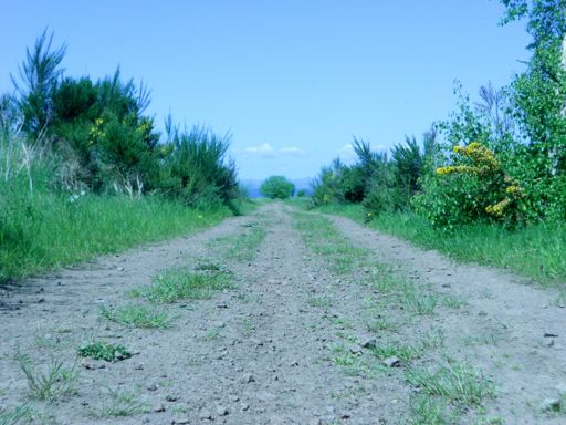 Dusty Road overlooking the Forth