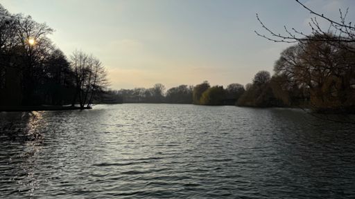 Milchig durch Schleierwolken spielt die Sonne heute am Himmel heute mit wie hier überm Obersee. ☁️🌞💨