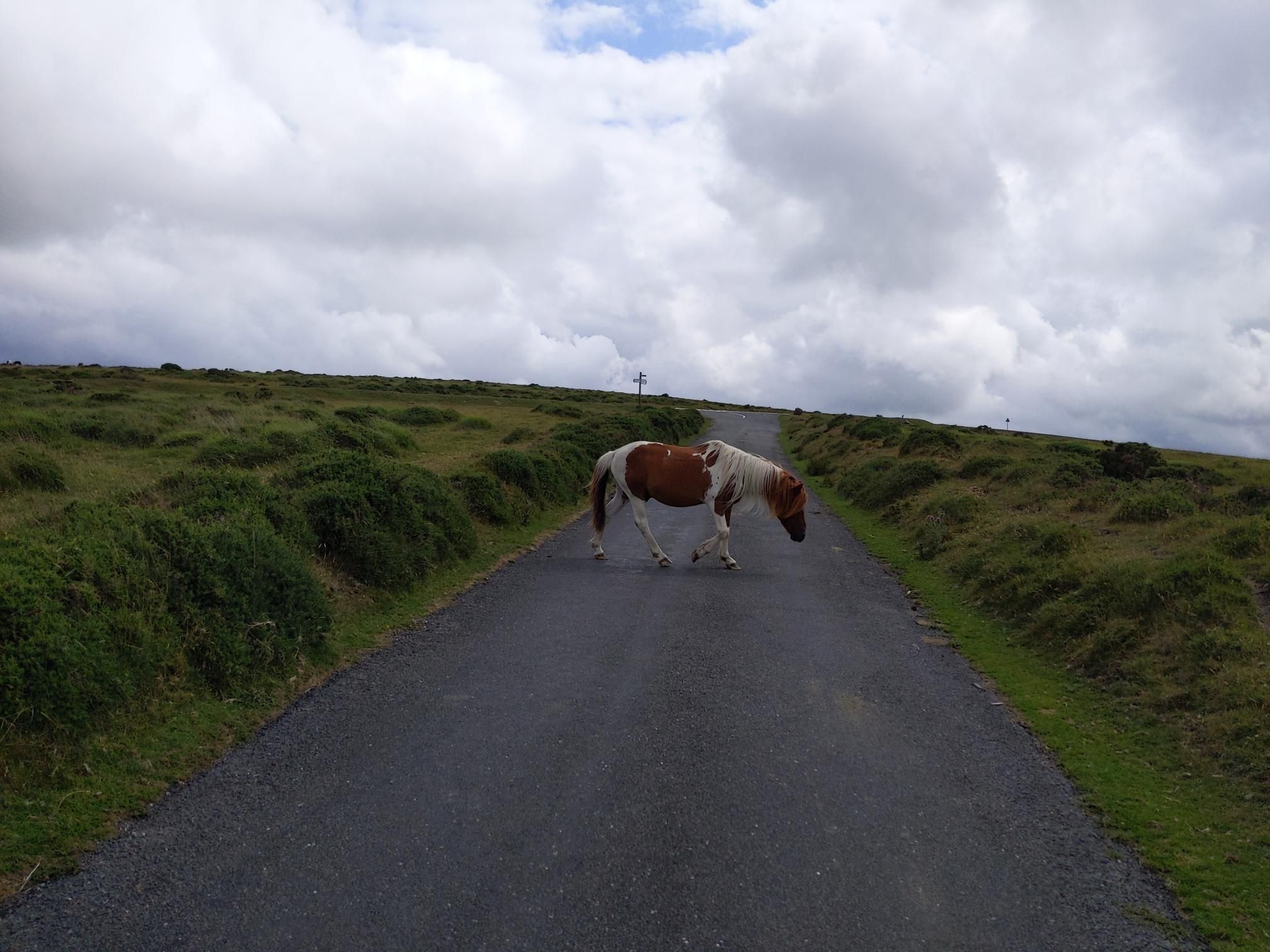 Skipton to Lands End - Day 5 photo 9