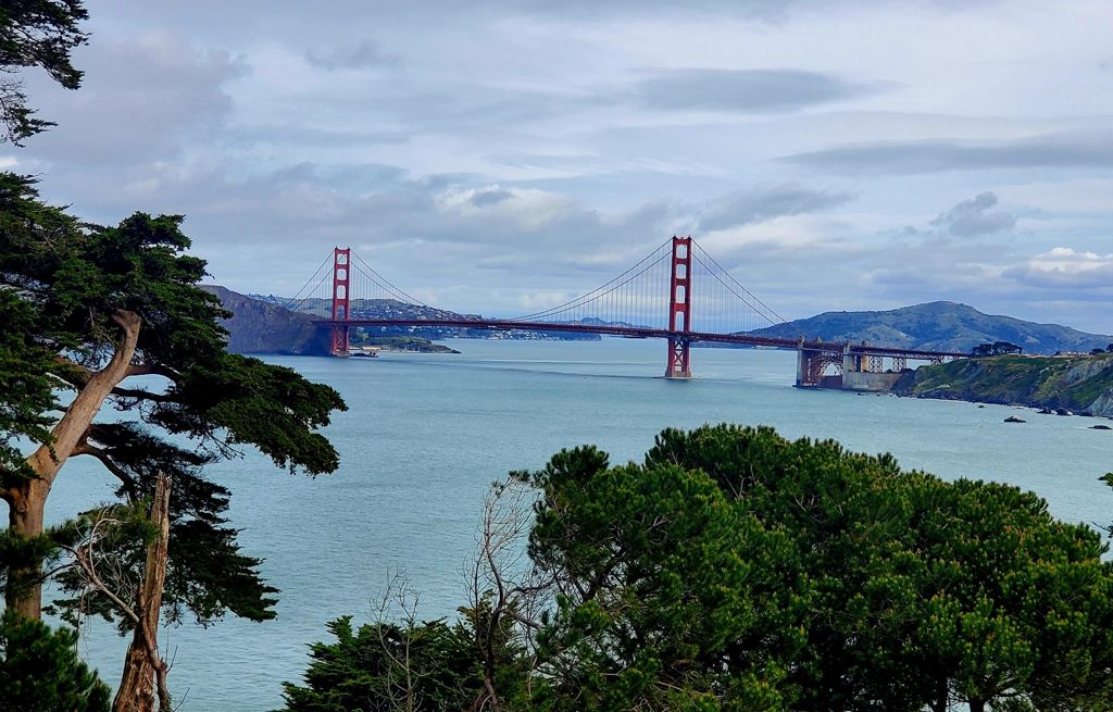 Butterlap (Presidio & Golden Gate Park)的照片 129