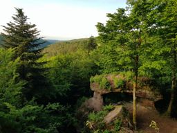 Marche autour de Haselbourg