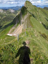Chöpfenberg Tierberg