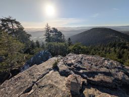 Tour dans forêt de Taintrux avant la séance d’escalade