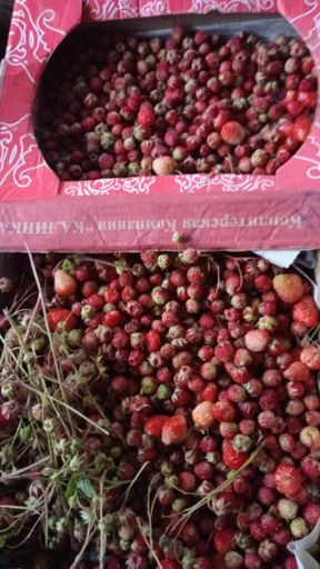 Итоги сбора