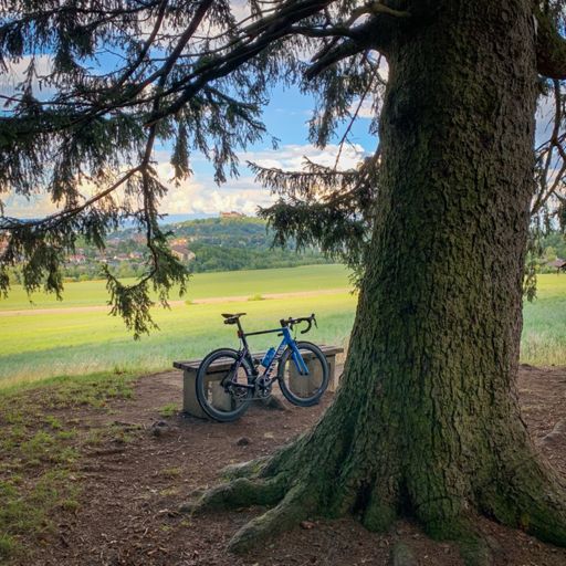 Vesteblick Hohe Fichte bei Ahorn