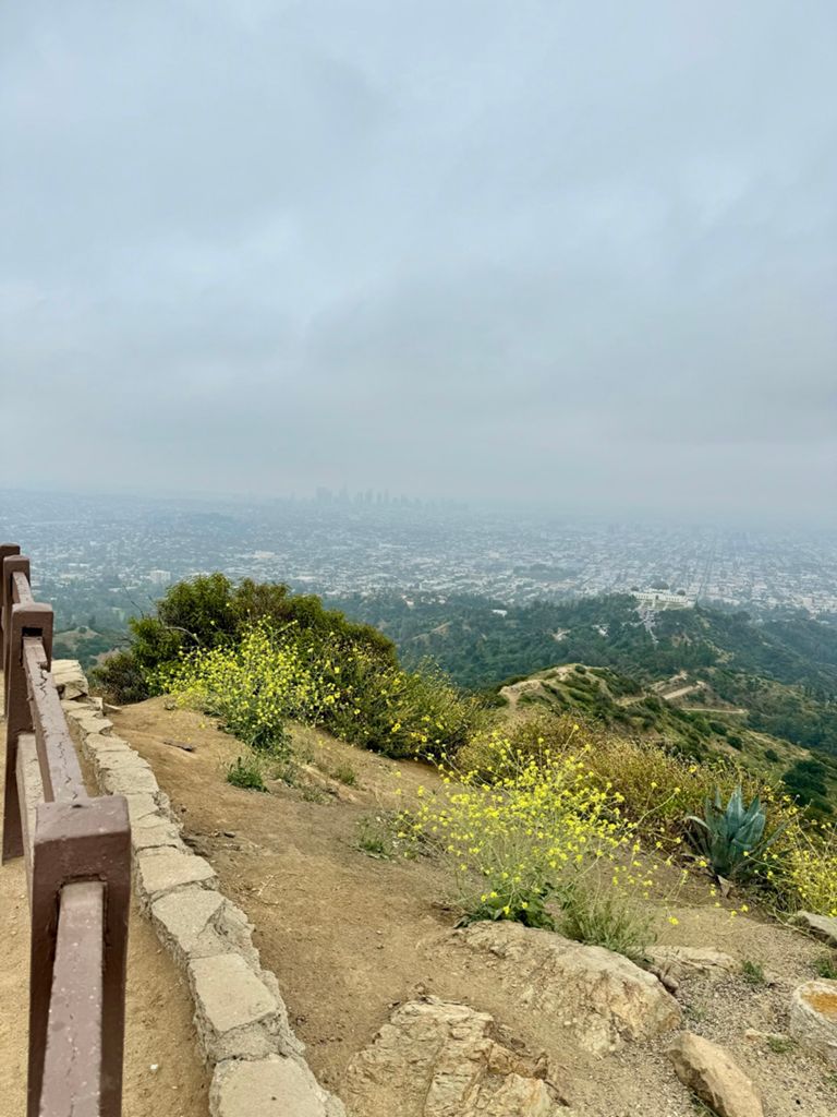 NBB run - Lake Hollywood photo 197