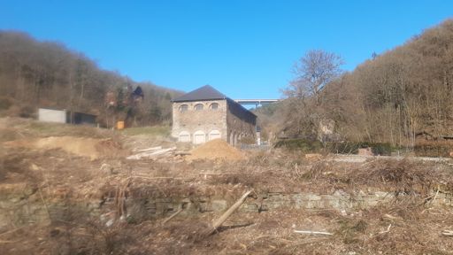 Stromberg Neuhütte. Die Bäume müssen weg.