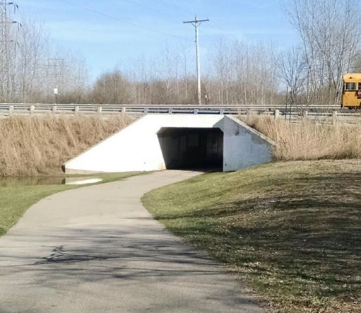 Bike path under trebein