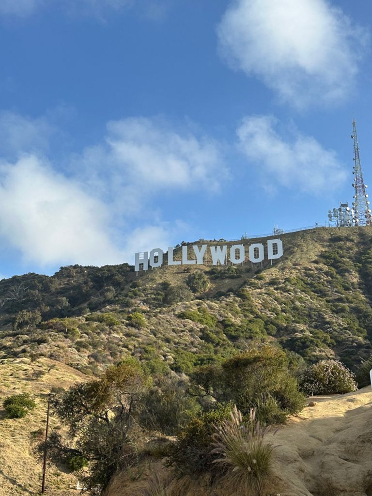 NBB run - Lake Hollywood: фото 140