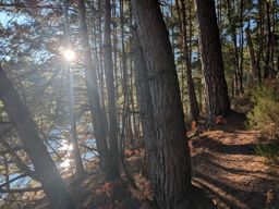 Trail au lac avec mon neveu