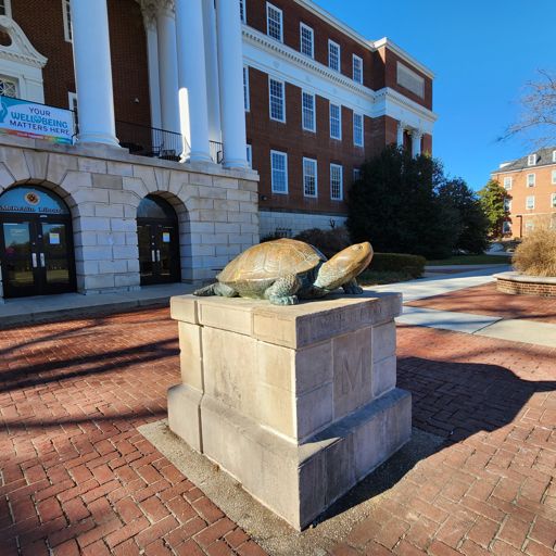 Testudo, the diamondback terrapin mascot of the Univ. of MD College Park