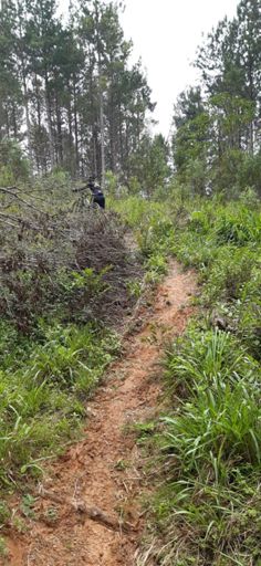 Uns trechos de trilhas sempre tem que ter