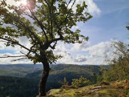 Sortie à vélo le midi