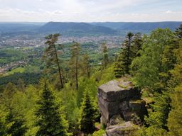 Balade dans l’Ormont