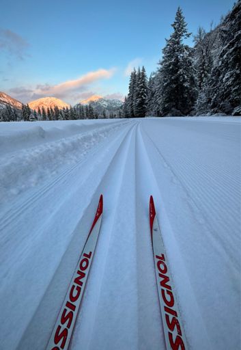 Shafer meadow. Last Chance Point glowing up valley.