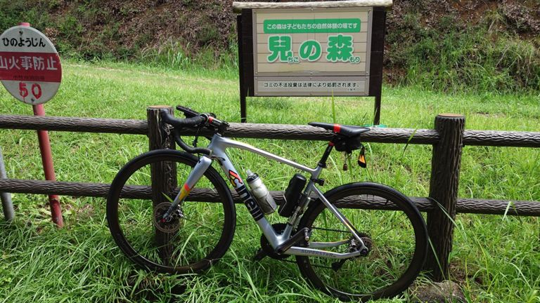 とりあえず兒の森一本