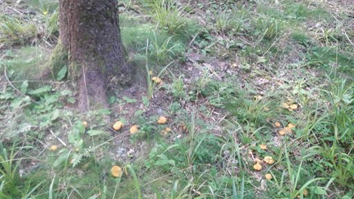 In Blasiewald vor der Mittagschicht