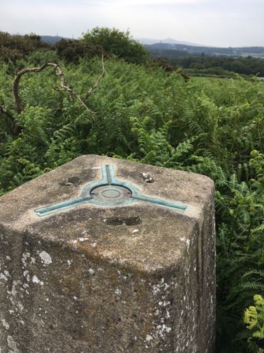 Womblehill. Behind biggest pile of manure i have ever seen