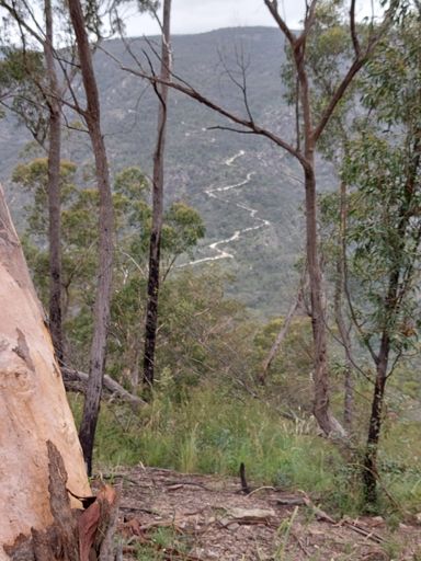 That's what I will be climbing shortly....