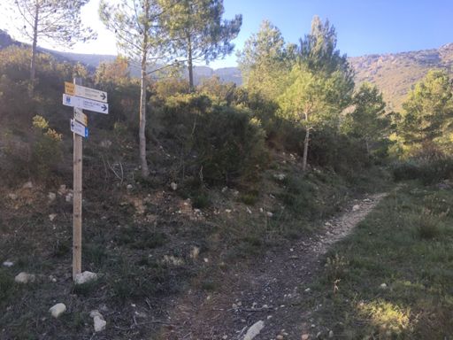 Just following the paths.