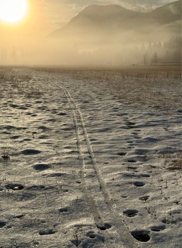 Remnants of yesterday's ski tracks.